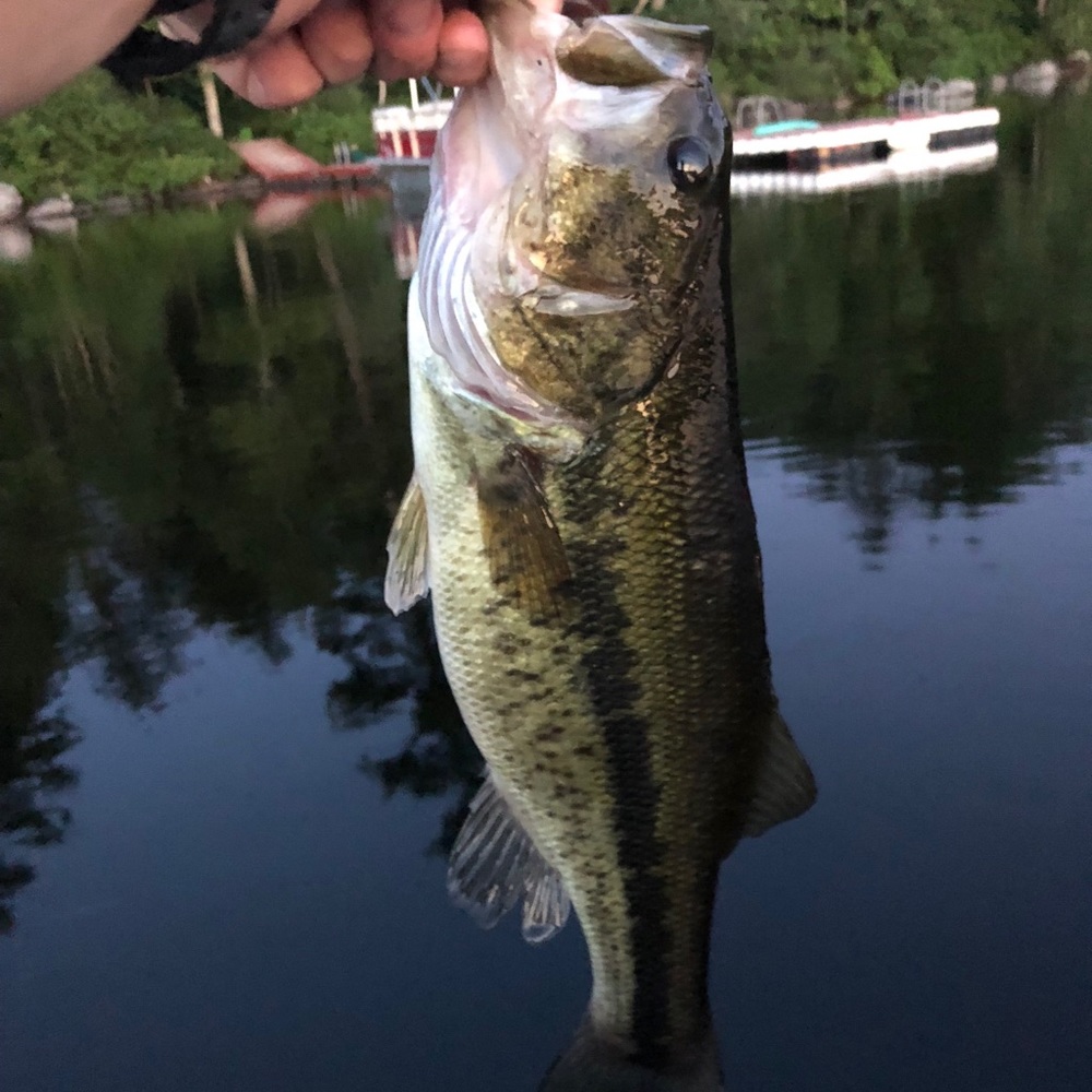 Meet your Posher, Jennie